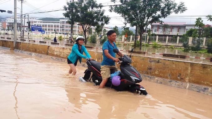 Hàng loạt cây xanh bị quật ngã, nhà tốc mái khi bão Usagi đổ bộ