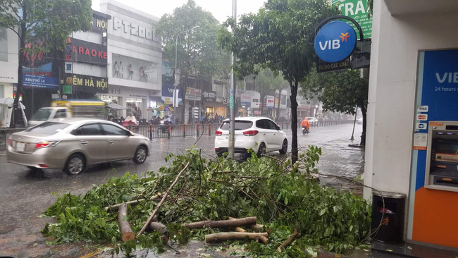 TP.HCM: Cây xanh bị bão quật ngã, hai mẹ con bé trai 6 tuổi thoát chết trong gang tấc