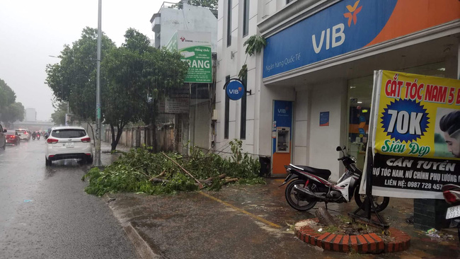 TP.HCM: Cây xanh bị bão quật ngã, hai mẹ con bé trai 6 tuổi thoát chết trong gang tấc