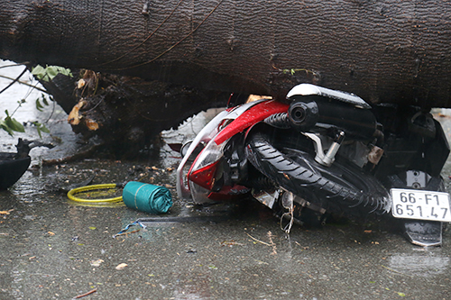 Sài Gòn mưa như trút nước, cây đổ đè người tử vong