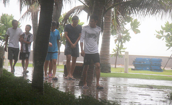 Bão Usagi quét qua Vũng Tàu, nhiều cây bật gốc