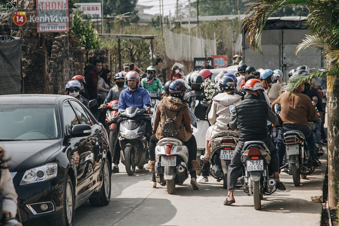 Video ảnh: Vườn cúc họa mi ở Hà Nội tiếp tục thất thủ: Đường vào tắc nghẽn, chụp một bức ảnh phải né bao nhiêu người