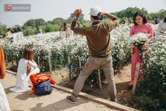 Video ảnh: Vườn cúc họa mi ở Hà Nội tiếp tục thất thủ: Đường vào tắc nghẽn, chụp một bức ảnh phải né bao nhiêu người