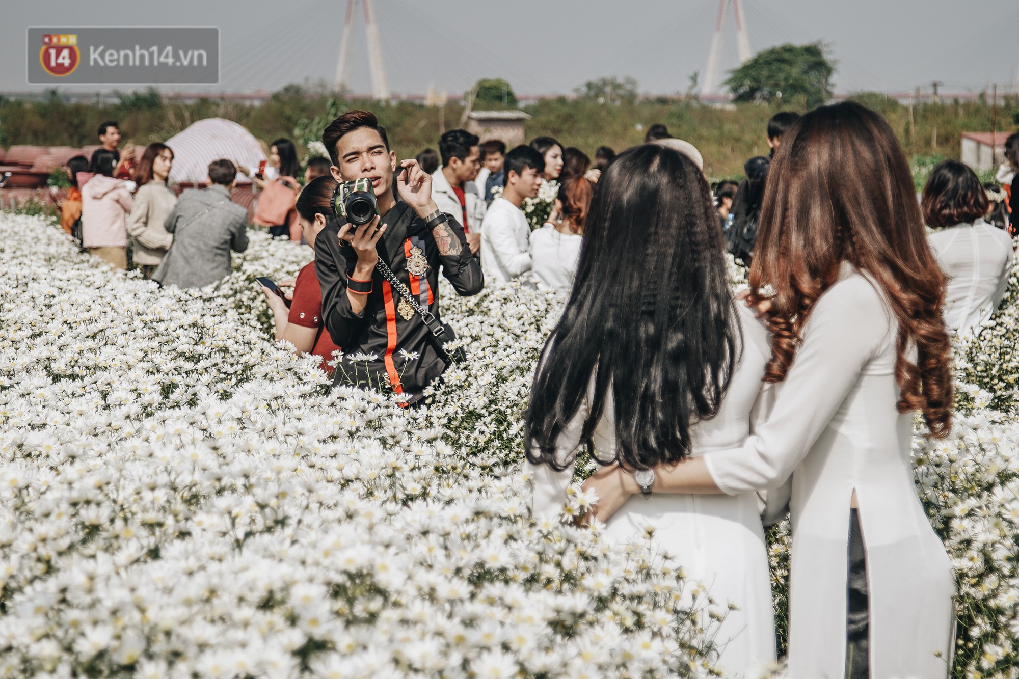 Video ảnh: Vườn cúc họa mi ở Hà Nội tiếp tục thất thủ: Đường vào tắc nghẽn, chụp một bức ảnh phải né bao nhiêu người