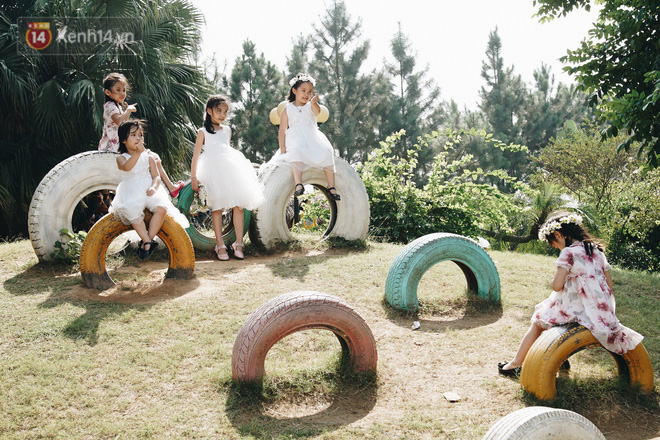 Video ảnh: Vườn cúc họa mi ở Hà Nội tiếp tục thất thủ: Đường vào tắc nghẽn, chụp một bức ảnh phải né bao nhiêu người