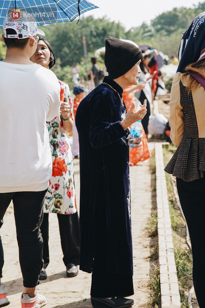 Video ảnh: Vườn cúc họa mi ở Hà Nội tiếp tục thất thủ: Đường vào tắc nghẽn, chụp một bức ảnh phải né bao nhiêu người