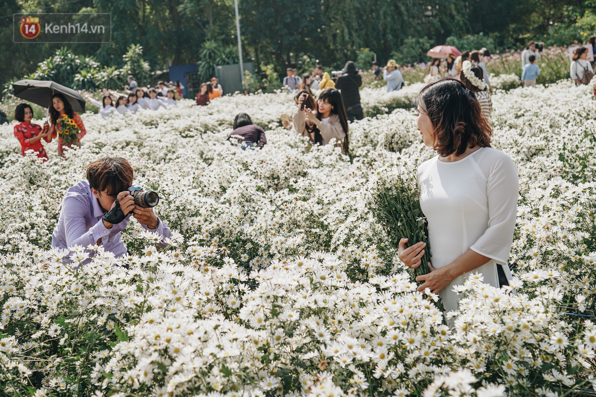 Video ảnh: Vườn cúc họa mi ở Hà Nội tiếp tục thất thủ: Đường vào tắc nghẽn, chụp một bức ảnh phải né bao nhiêu người