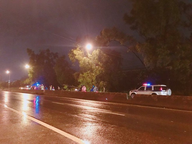 Bão số 9: Đôi nam nữ đi SH bị cây ngã đè phải nhập viện cấp cứu khi đang lưu thông