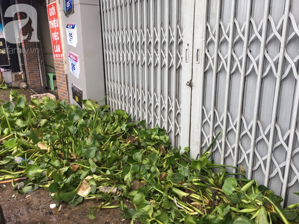 Sáng thứ 2 kẹt xe, ngập nước, xe chết máy nằm la liệt, người Sài Gòn khốn khổ sau bão số 9