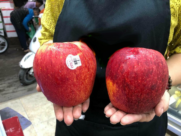 Dân Hà thành phát sốt với trái táo to như quả bưởi