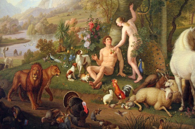 Phát hiện bất ngờ về nguồn gốc của con người