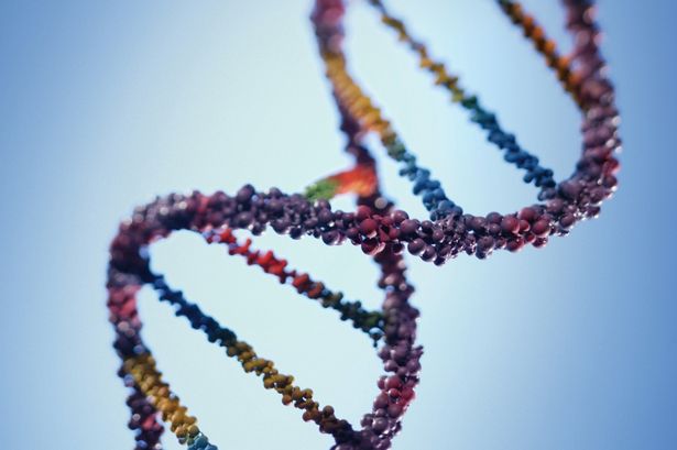 Phát hiện bất ngờ về nguồn gốc của con người