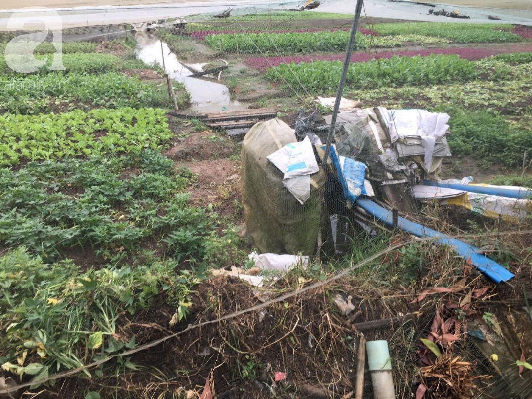 TP.HCM: Bố chết đuối khi cứu vườn rau trong bão, 3 đứa trẻ ngây ngô hỏi sao bố ngủ lâu quá không dậy hả mẹ?