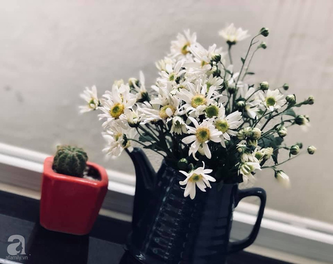 Làm đẹp nhà đón mùa đông Hà Nội với cúc họa mi đẹp dịu dàng, bình yên