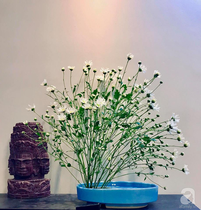 Làm đẹp nhà đón mùa đông Hà Nội với cúc họa mi đẹp dịu dàng, bình yên