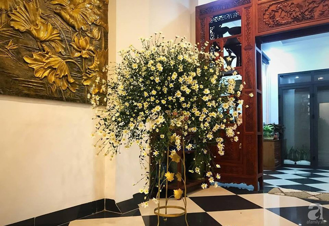 Làm đẹp nhà đón mùa đông Hà Nội với cúc họa mi đẹp dịu dàng, bình yên