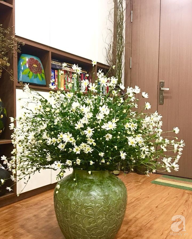 Làm đẹp nhà đón mùa đông Hà Nội với cúc họa mi đẹp dịu dàng, bình yên