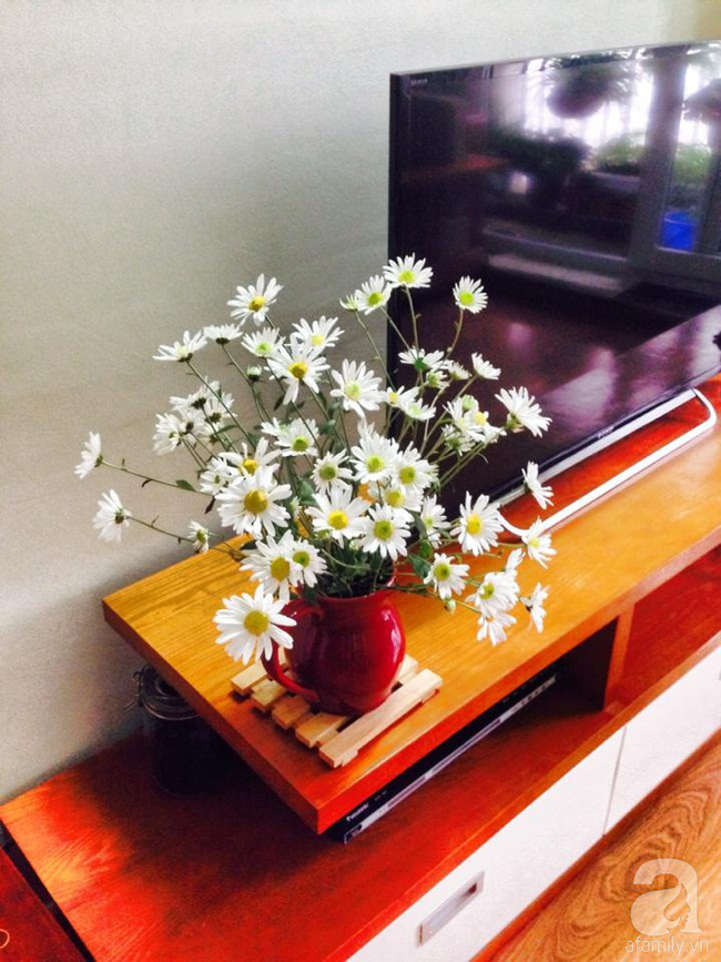 Làm đẹp nhà đón mùa đông Hà Nội với cúc họa mi đẹp dịu dàng, bình yên