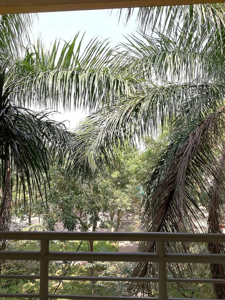 Loạt tình huống dở khóc dở cười của học sinh sinh viên khi đón bão Usagi: Được nghỉ học nhưng vẫn tai ương lắm!