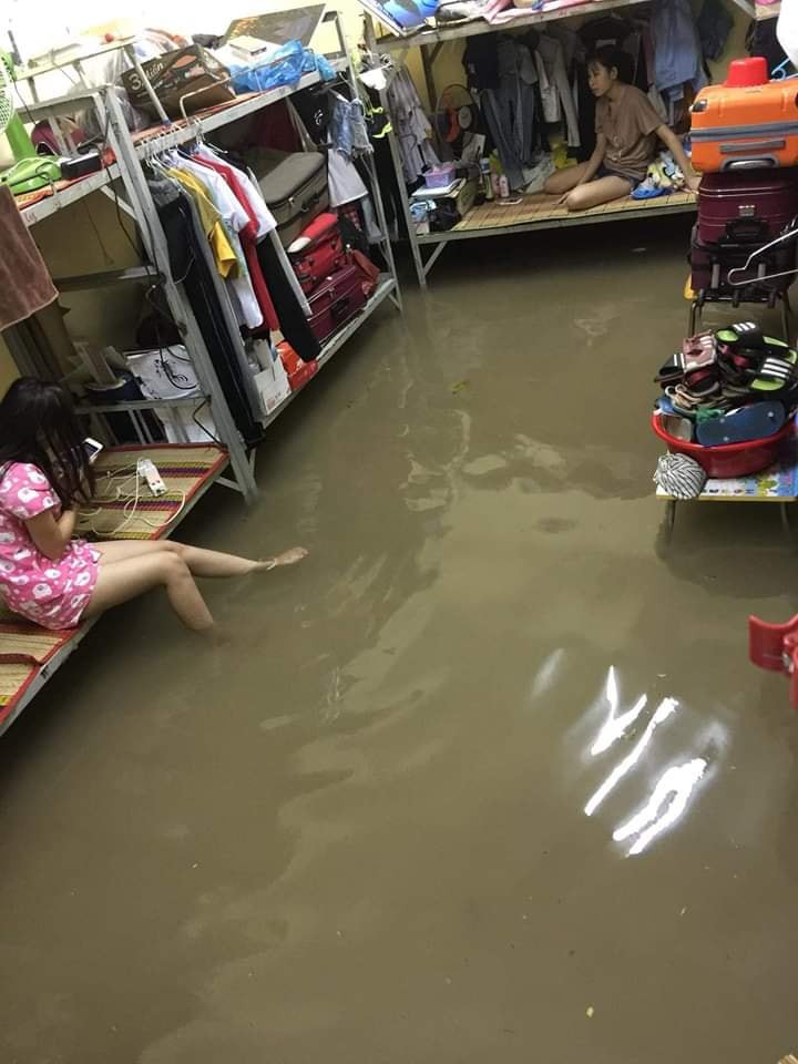 Loạt tình huống dở khóc dở cười của học sinh sinh viên khi đón bão Usagi: Được nghỉ học nhưng vẫn tai ương lắm!