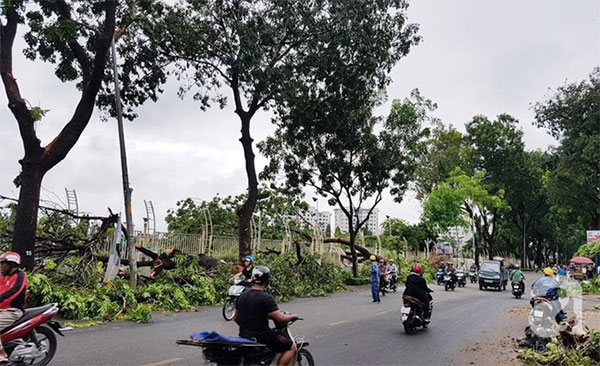 Bão qua nhưng người dân TP.HCM đừng vội mừng: Bệnh tay chân miệng, đau mắt đỏ, sốt xuất huyết đang chực chờ kéo đến