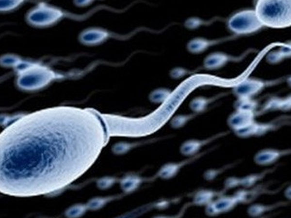 Mất cơ hội làm bố vì một thói quen rất nhiều người Việt đang mắc