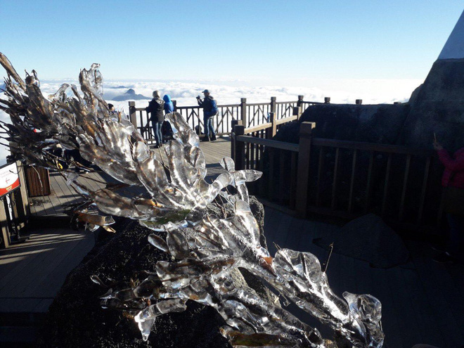 Nhiệt độ thấp 3 độ C, du khách thích thú ngắm hoa băng và biển mây bồng bềnh trên đỉnh Fansipan