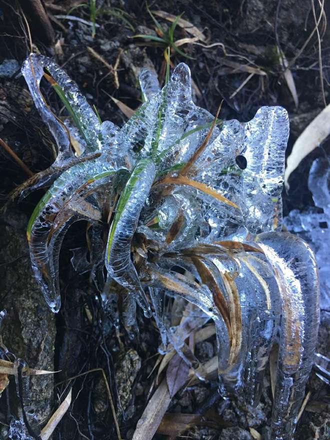 Nhiệt độ thấp 3 độ C, du khách thích thú ngắm hoa băng và biển mây bồng bềnh trên đỉnh Fansipan