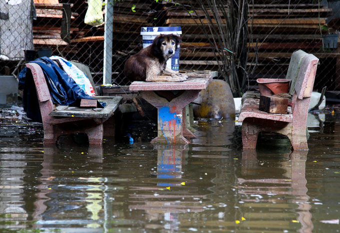 Khu dân cư ở Sài Gòn vẫn ngập nặng sau ba ngày mưa bão