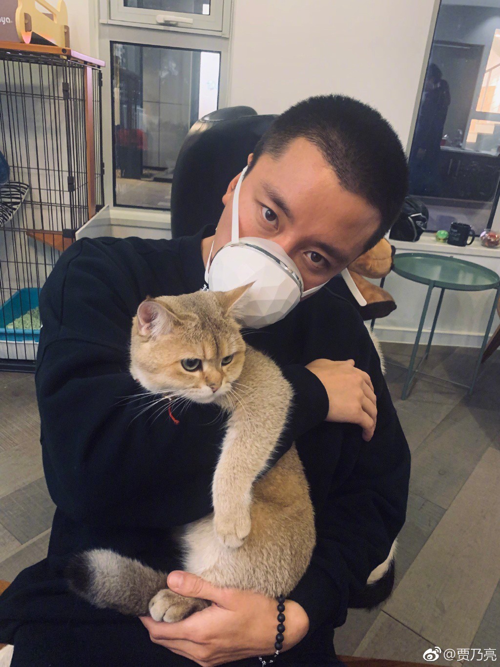 Giả Nãi Lượng xác nhận ly hôn sau khi Lý Tiểu Lộ tiếp tục bị tố ngoại tình lần 2?