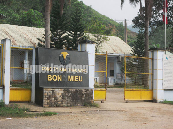 Vàng Bồng Miêu chính thức phá sản, để lại số nợ gần 1.000 tỉ đồng