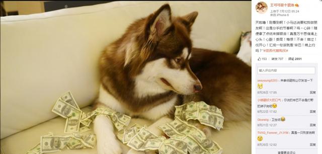 Vương Tư Thông: Thiếu gia cho chó đeo đồng hồ tiền tỷ, đùa giỡn vô số chân dài