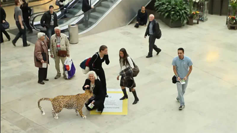 Con phố mô phỏng hổ báo chạy nhảy, cá heo bơi lội giữa Sài Gòn