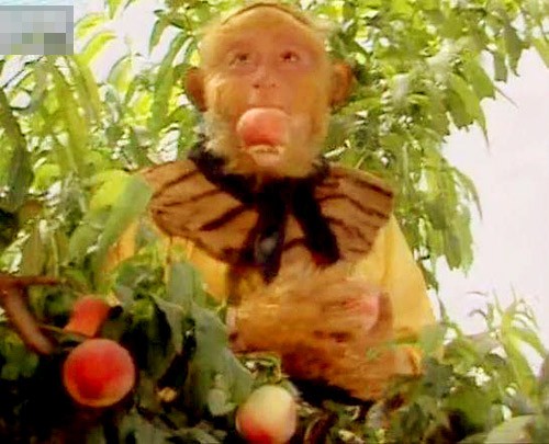 Bất ngờ với nguồn gốc vườn đào tiên hàng vạn năm trong Tây Du Ký Bất ngờ với nguồn gốc vườn đào tiên hàng vạn năm trong Tây Du Ký