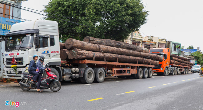 Bắt 4 container chở hàng trăm tấn gỗ không rõ nguồn gốc