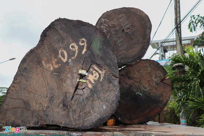 Bắt 4 container chở hàng trăm tấn gỗ không rõ nguồn gốc