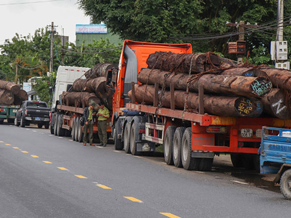 Bắt 4 container chở hàng trăm tấn gỗ không rõ nguồn gốc