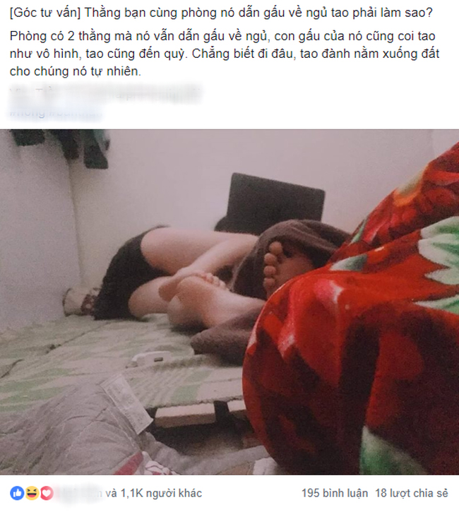 Nỗi lòng muôn đời khó tỏ: Phòng trọ có mỗi chiếc giường, bạn cùng phòng dẫn gấu về ôm ấp, thanh niên cầu cứu dân mạng