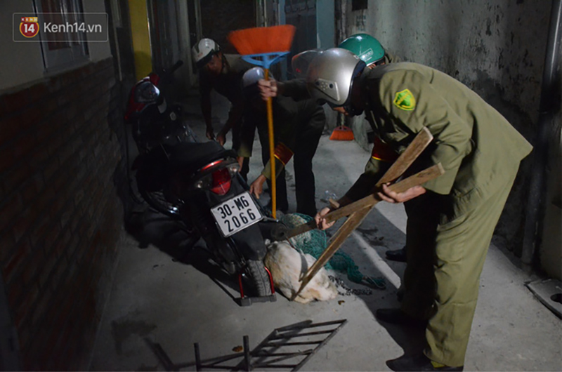 Hà Nội: Người đàn ông buồn rầu khi con chó của gia đình bị đội bắt chó thả rông cho vào lồng sắt, đưa về trụ sở phường