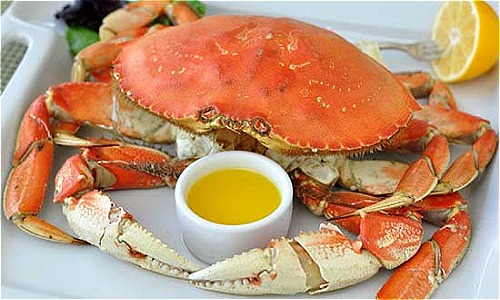 Hơn triệu đồng một con cua đá Canada