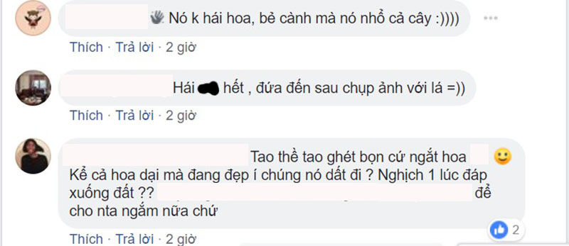 Thiếu nữ cầm bó hoa dã quỳ tạo dáng bên tấm biển Không hái hoa, bẻ cành khiến dân mạng phẫn nộ