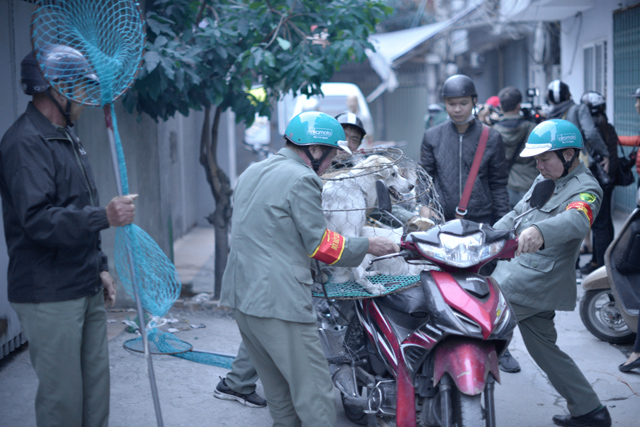 Đội săn bắt chó Hà Nội sẽ đối mặt với những rủi ro nào?
