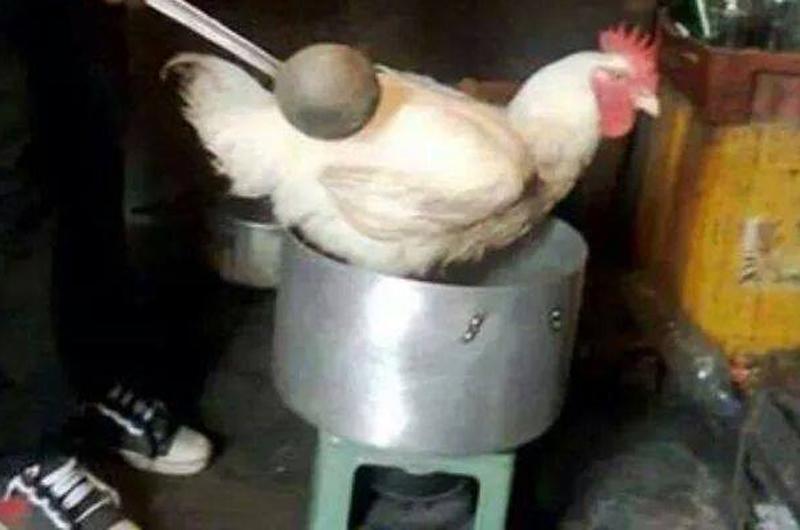 Bộ sưu tập 23 món ăn của nàng dâu khiến mẹ chồng chết ngất