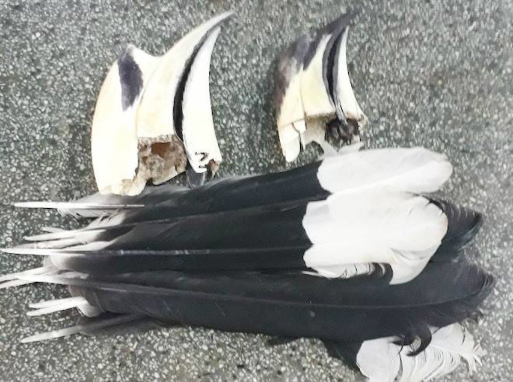 Thông tin bất ngờ vụ giám đốc tự sướng khoe ảnh thịt chim quý