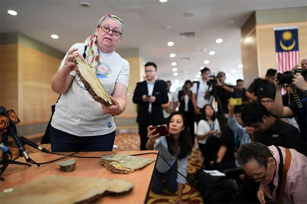 Nóng: Gia đình nạn nhân MH370 công bố mảnh vỡ máy bay mới