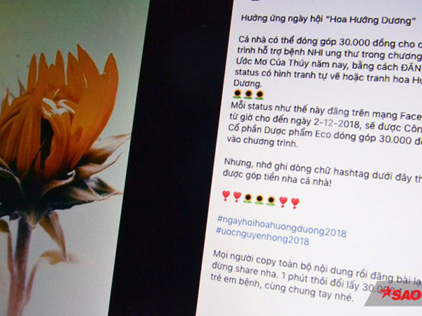 Đăng ảnh chụp hoa hướng dương lên Facebook có giúp đóng góp 30.000 đồng cho bệnh nhi ung thư không?