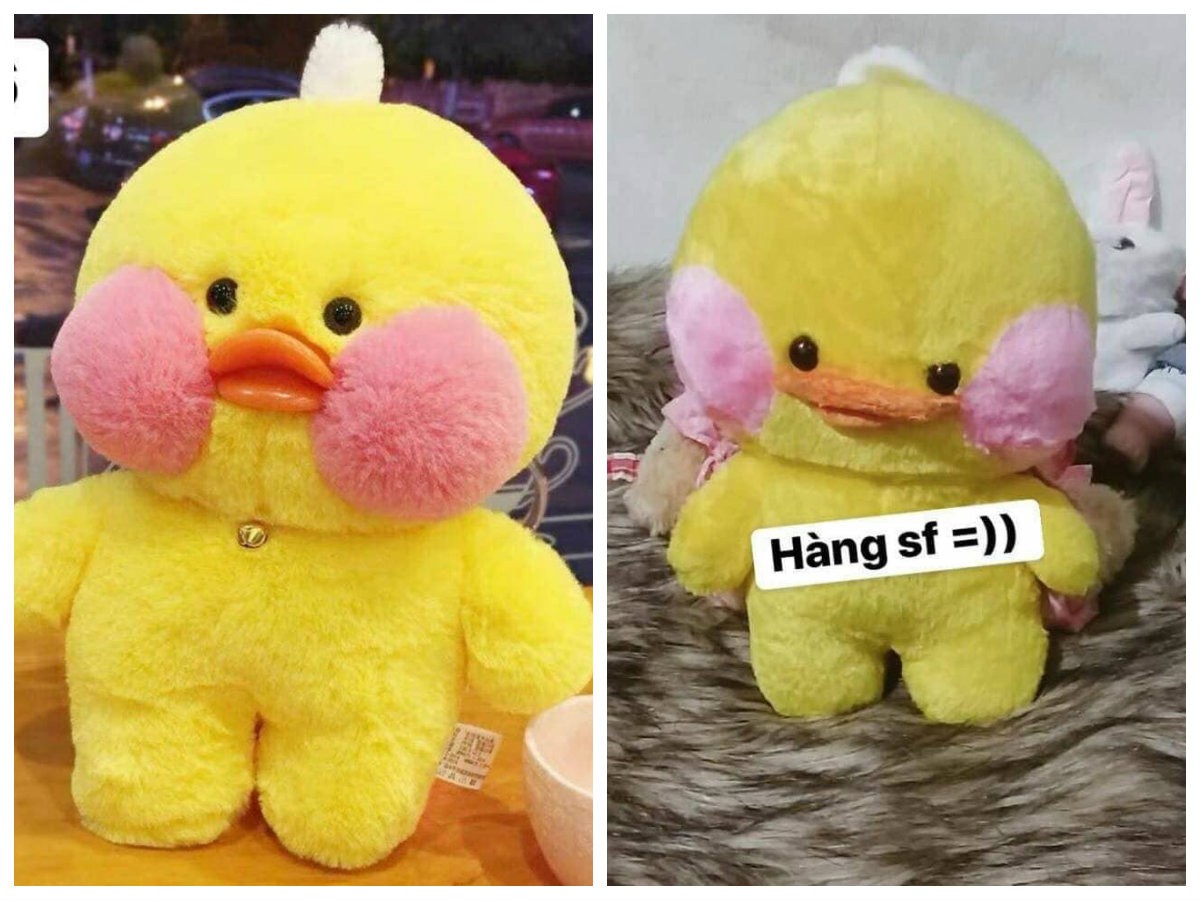 Order chú vịt môi tều hot nhất trên mạng, cô gái suy nhược khi nhận về em vịt mặt xệ