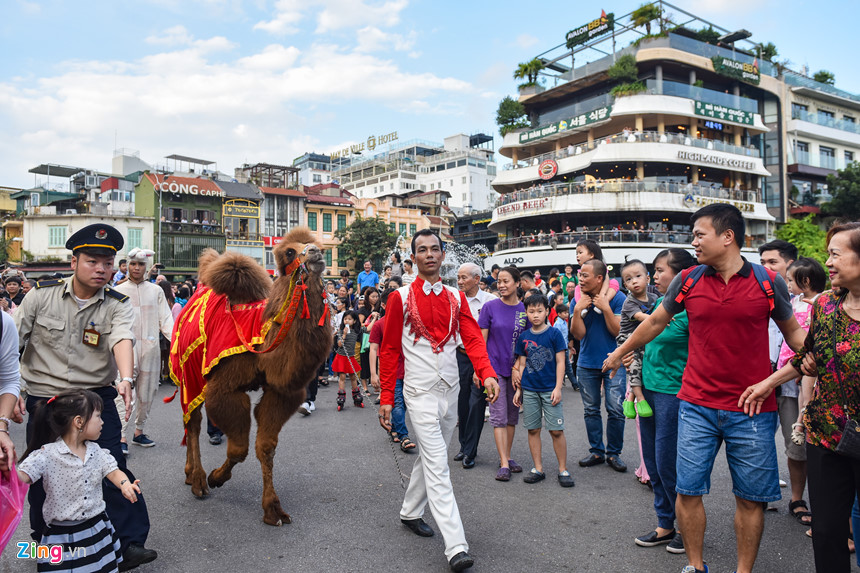 Lạc đà xuất hiện trên phố đi bộ hồ Gươm