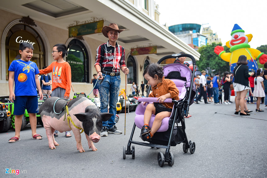 Lạc đà xuất hiện trên phố đi bộ hồ Gươm