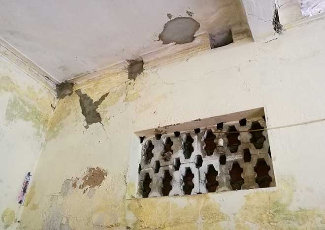 Cận cảnh ngôi nhà của người mẹ có 10 con điên dại ở Hải Phòng